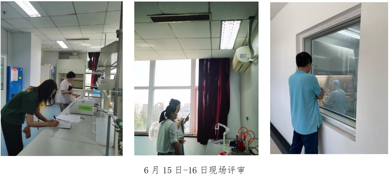 屏幕截圖 2024-09-12 162358.jpg